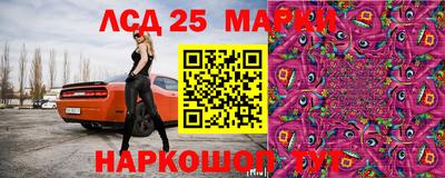 прущие грибы Конаково