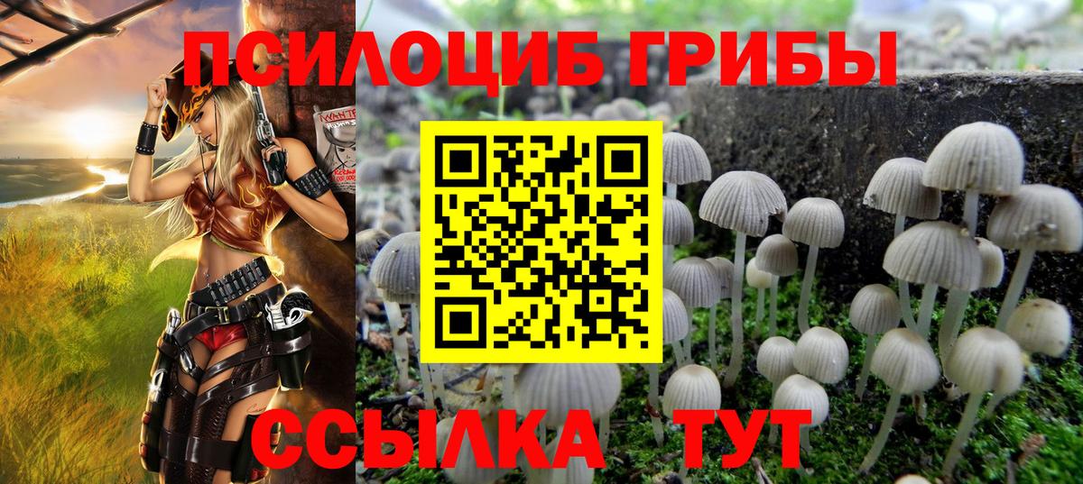 Галлюциногенные грибы Magic Shrooms Карталы