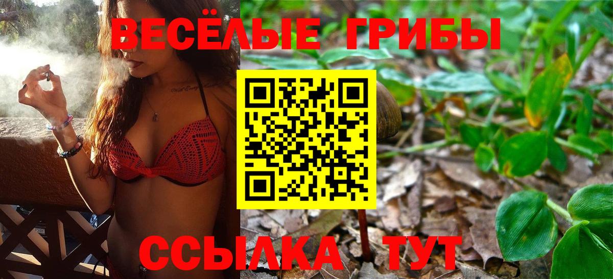Галлюциногенные грибы MAGIC MUSHROOMS  Вход с VPN  Карталы 